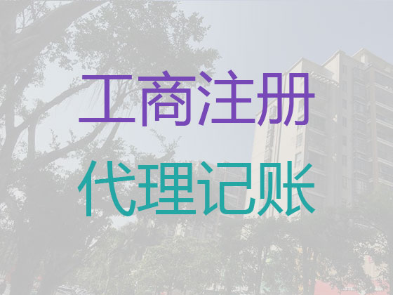 三亚财务公司代记账服务|代办离岸企业代理记账